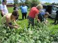 2011_Gardening05