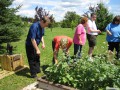 2011_Gardening07