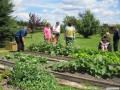 2011_Gardening08