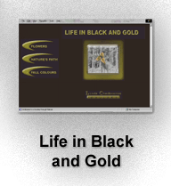 Life in Black and Gold