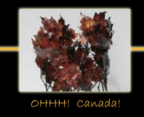 ohhh canada steel sculpture by canadian sculptor hilary clark cole