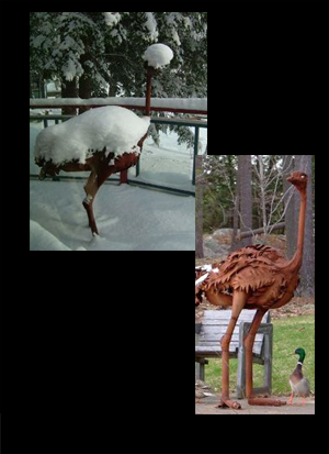 The Ostrich: steel sculpture by Canadian sculptor Hilary Clark Cole.