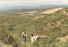groundsurveyspain.jpg (29569 bytes)