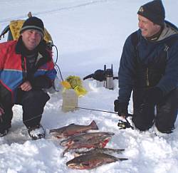 Slabs of Brooktrout