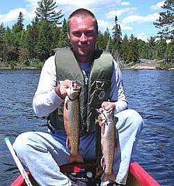 Summer brookies