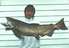 25lb Chinook
