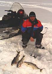Lake Trout and Whitefish