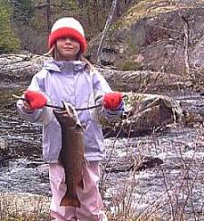 river brook trout