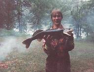 8lb walleye